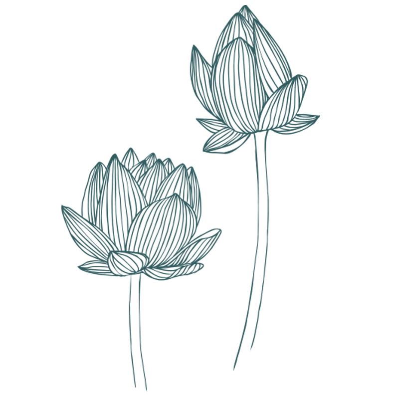 UNE MÉDECINE TRADITIONELLE CHINOISE RECONNUE