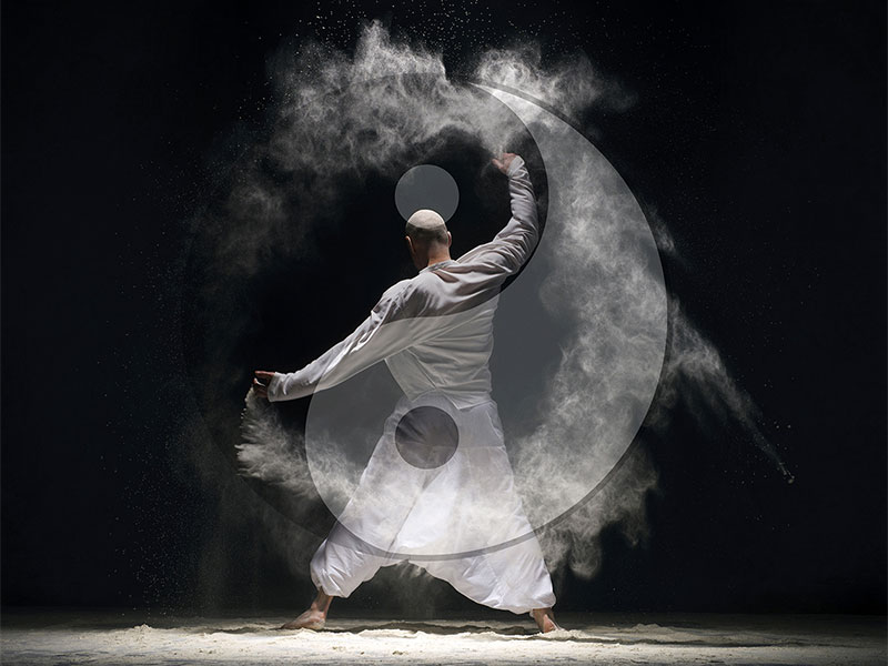 Le Yin et le Yang « 陰 陽 » servent à qualifier le rythme fondamental qui anime le Qi « 气 氣 »...